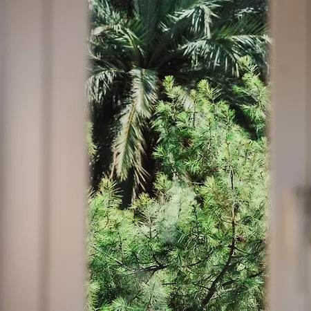 Apartment Charming Duplex By Valletta - No Extra Fee